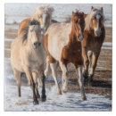 Suche nach schnee fliesen Pferd