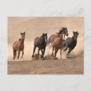 Suche nach galopp postkarten Land