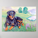 Suche nach rottweiler poster Aquarell
