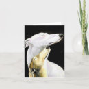 Suche nach greyhound karten Haustier