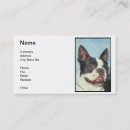 Suche nach boston terrier visitenkarten Haustier