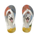 Suche nach die schweiz schuhe Lustig