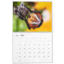 Suche nach insekten kalender Motte