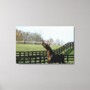 Suche nach tierkopf leinwandbilder Tierkörperteil