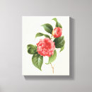 Suche nach kamelie leinwandbilder Natur