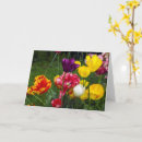 Suche nach happy easter karten Natur