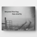 Suche nach nebel fotoplatten Natur