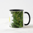 Suche nach gänseblümchen tassen Flora