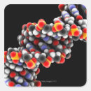Suche nach dna aufkleber Biologie