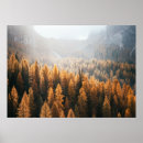 Suche nach larve poster Natur