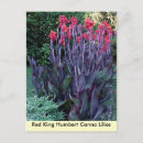 Suche nach canna poster Tropisch