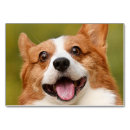 Suche nach hunde tischkarten Foto
