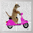 Suche nach moped poster Meerkat