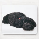 Suche nach schwarzer pudel mousepads Welpe