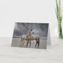 Suche nach camargue karten Hengst