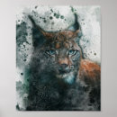 Suche nach luchs poster Tier