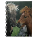 Suche nach miniatur kleine notizbücher Pferd