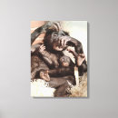 Suche nach niedliche affen leinwandbilder Schimpanse