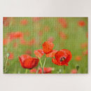 Suche nach mohnblumen puzzle Rot