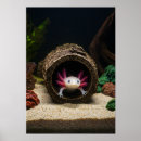 Suche nach axolotl poster Haustier