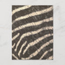 Suche nach zebra streifen postkarten Tier