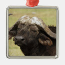 Suche nach afrikanisch ornamente Savanne