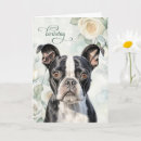 Suche nach boston terrier geburtstag karten Haustiere