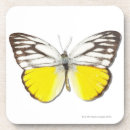 Suche nach schmetterling untersetzer Natur