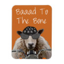 Suche nach knochen magnete Schafe