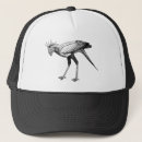 Suche nach zeichnen sie kappen Vögel