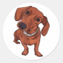 Suche nach lustiger hund aufkleber Hundebesitzer