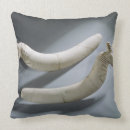 Suche nach standorte kissen Alt