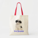 Suche nach havaneser taschen Havanese welpe