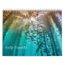 Suche nach kelp Fisch