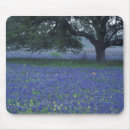 Suche nach eiche mousepads Baum
