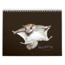 Suche nach gleithörnchen Eichhörnchen