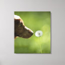 Suche nach seitenansicht poster Genuss