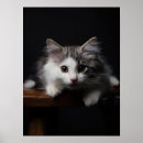 Suche nach waldkatze poster Tiere