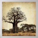 Suche nach baobab poster Africa