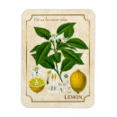 Suche nach kräuter magnete Küche