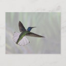 Suche nach freier vogel postkarten Tierwelt