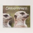 Suche nach meerkat puzzle Natur
