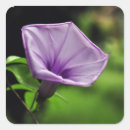 Suche nach lila hintergrund aufkleber Violett