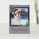 Suche nach jack russell terrier karten Schnee