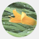 Suche nach taue aufkleber Blume
