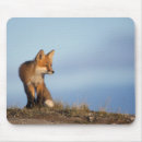 Suche nach säugetier mousepads Rotfuchs