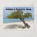 Suche nach baum postkarten Natur