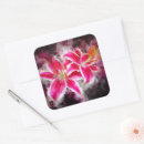 Suche nach rote lilien aufkleber Aquarell