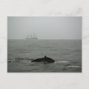 Suche nach whaler postkarten Jahreszeit
