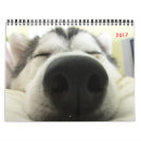 Suche nach husky kalender Heiser